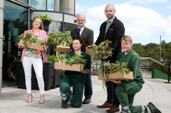 Free plants and bulbs available for the Lisburn Castlereagh community