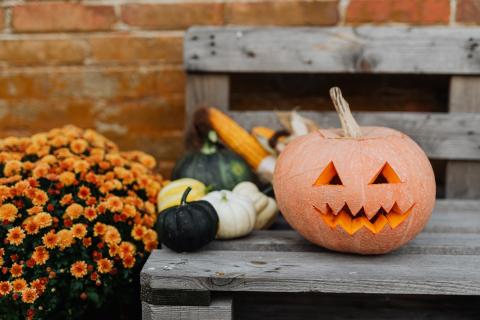 Don’t let the spectre of coronavirus haunt your Hallowe’en