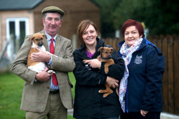 Council Checks in With Pups Ready For Rehoming