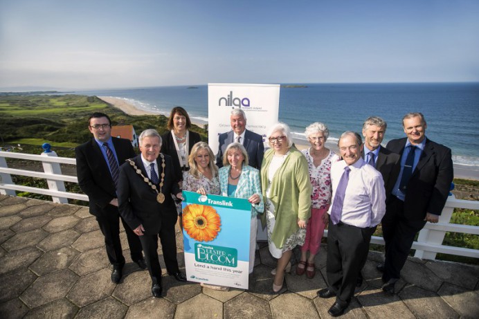 Roses in Town Award for Lisburn 2016 Translink Ulster in Bloom Competition